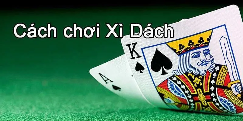 Cách chơi Xì Dách cơ bản cần phải biết