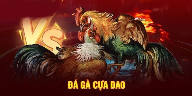 Mẹo soi kèo đá gà cựa dao kiếm thu nhập lớn