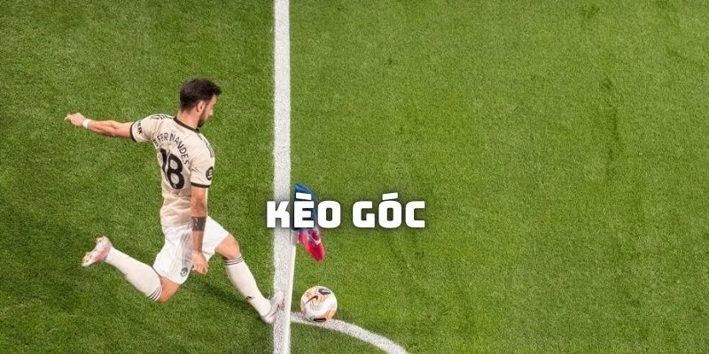 Những loại hình dự đoán kèo góc nhà cái
