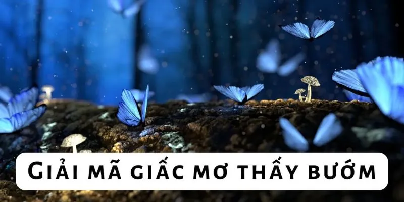 Ý nghĩa liên quan khi ngủ mơ thấy bướm